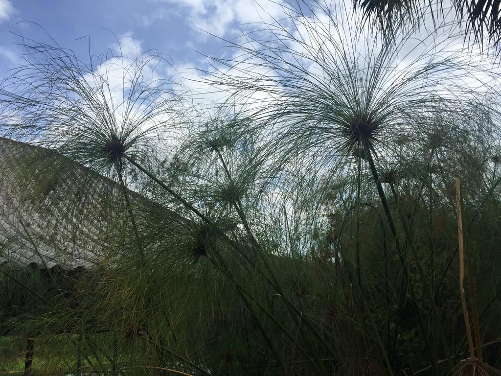 Phu Pha Nam Resort Dan Sai Exteriör bild