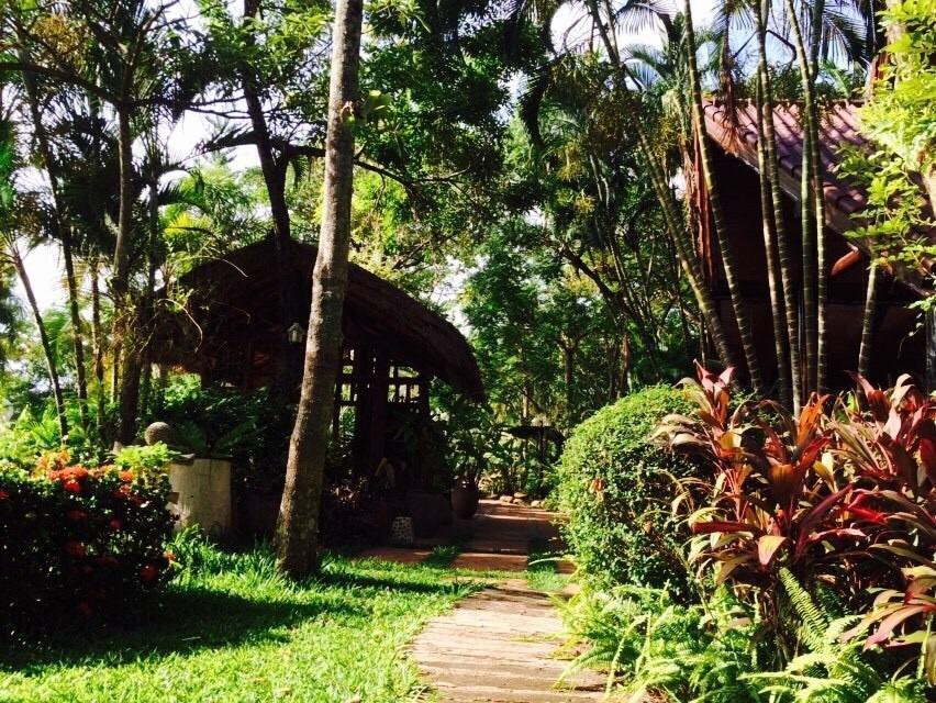 Phu Pha Nam Resort Dan Sai Exteriör bild