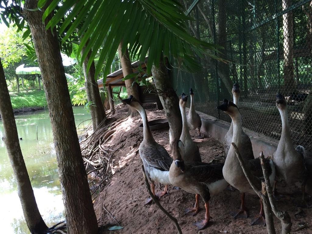 Phu Pha Nam Resort Dan Sai Exteriör bild