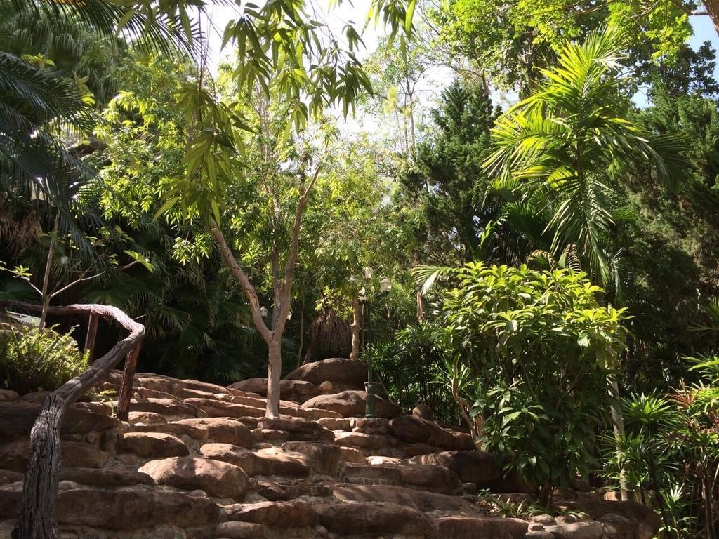Phu Pha Nam Resort Dan Sai Exteriör bild